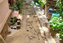 Cải Tạo Lối Đi & Xử Lý Cây Xanh