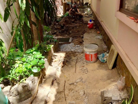 Cải Tạo Lối Đi & Xử Lý Cây Xanh