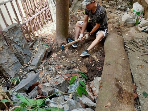 Cải Tạo Lối Đi & Xử Lý Cây Xanh