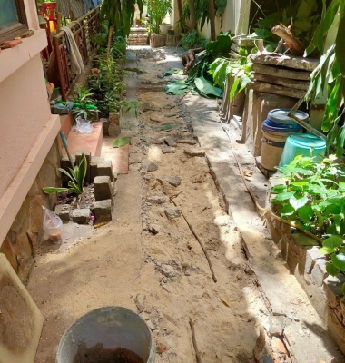 Cải Tạo Lối Đi & Xử Lý Cây Xanh